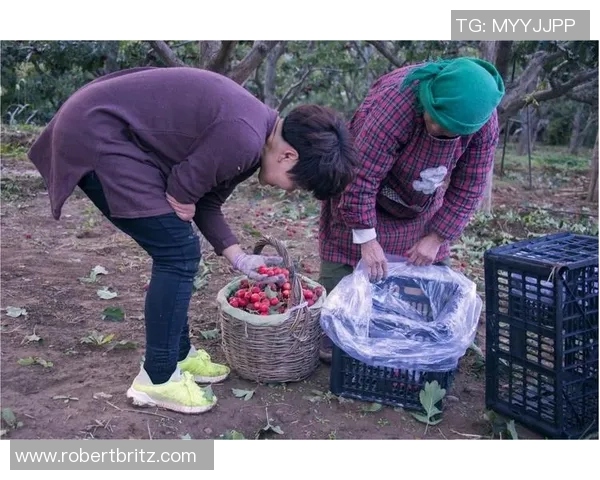 太阳报探访原味球衣仓库体验独特汗臭气息令人感到亲切与真实